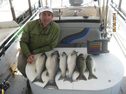 Nice Striped Bass